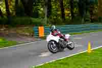 White Bikes